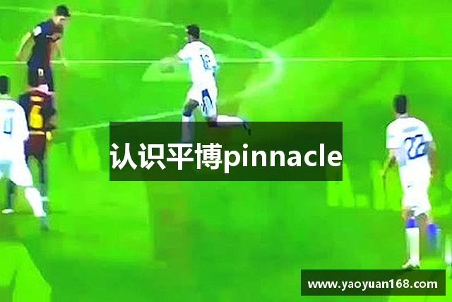 认识平博pinnacle